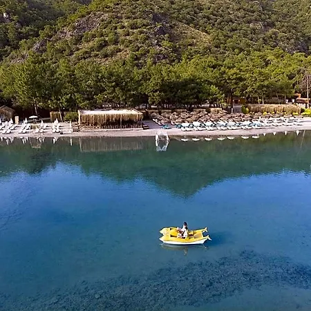 Hotell Pine 4*
