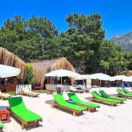 Hotell Pine 4*