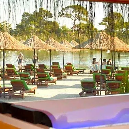 Pine Hotell 4*
