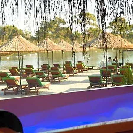 Pine Hotell
