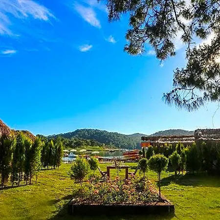Hotell Pine 4*