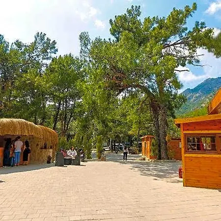 Pine Hotell