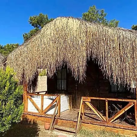 Pine Hotell