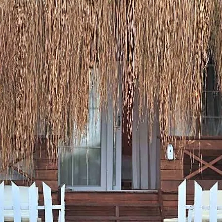 Pine فندق