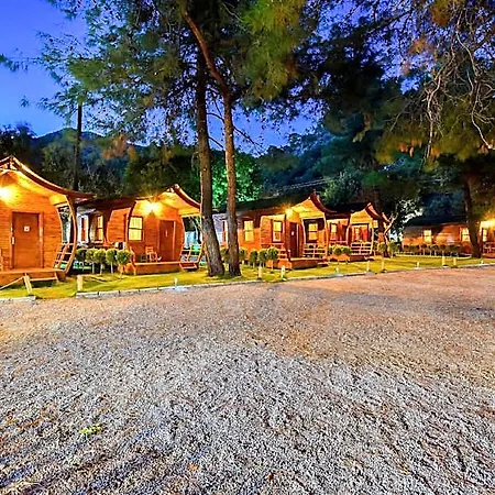 Hotel Pine