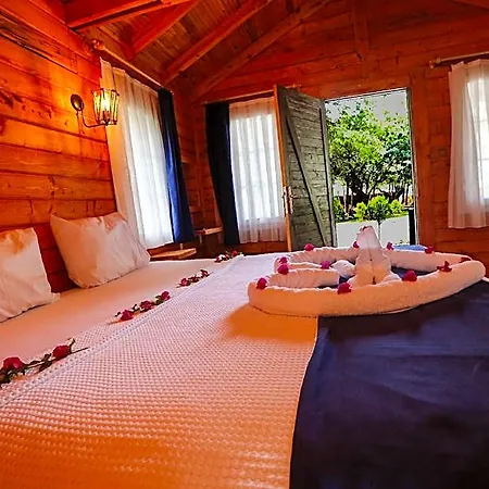 Pine Hotel 4*