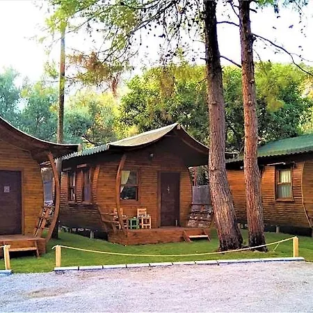 Pine Hotel
