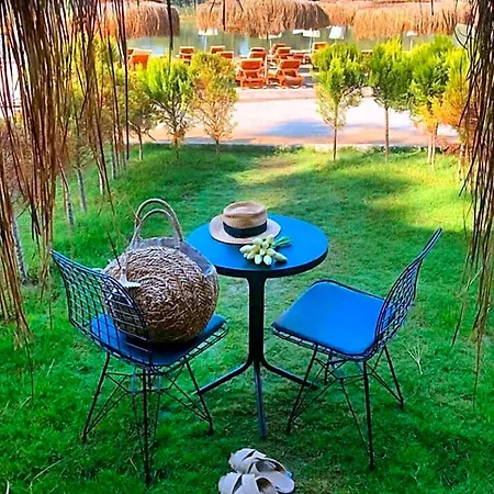 Hotel Pine 4*