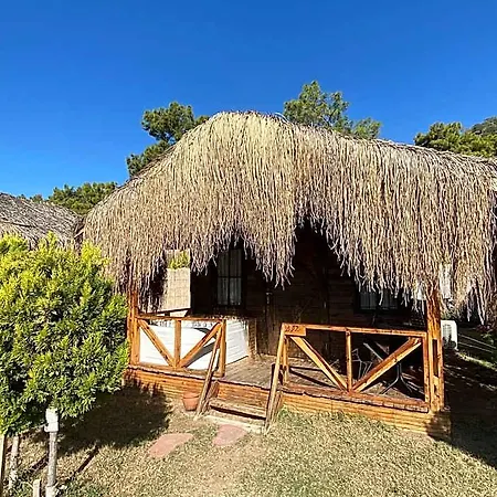 Hotel Pine 4*