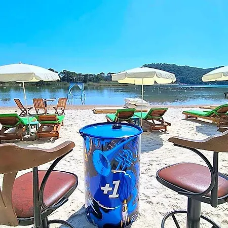 Pine Hotel 4*