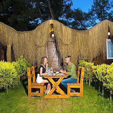 Pine 4* Oludeniz