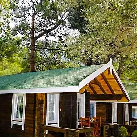 Pine 4* Oludeniz