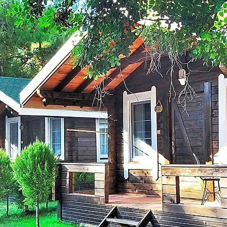 Pine 4* Oludeniz