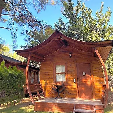 Pine Hotel