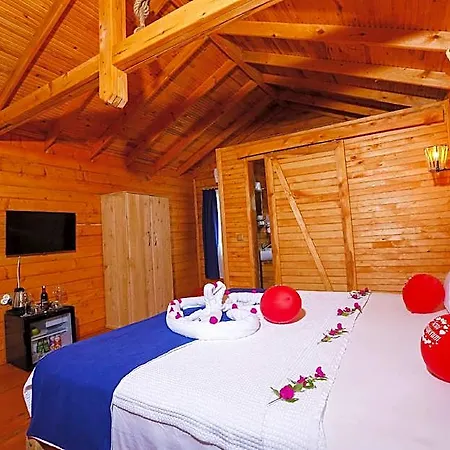 Pine 4*